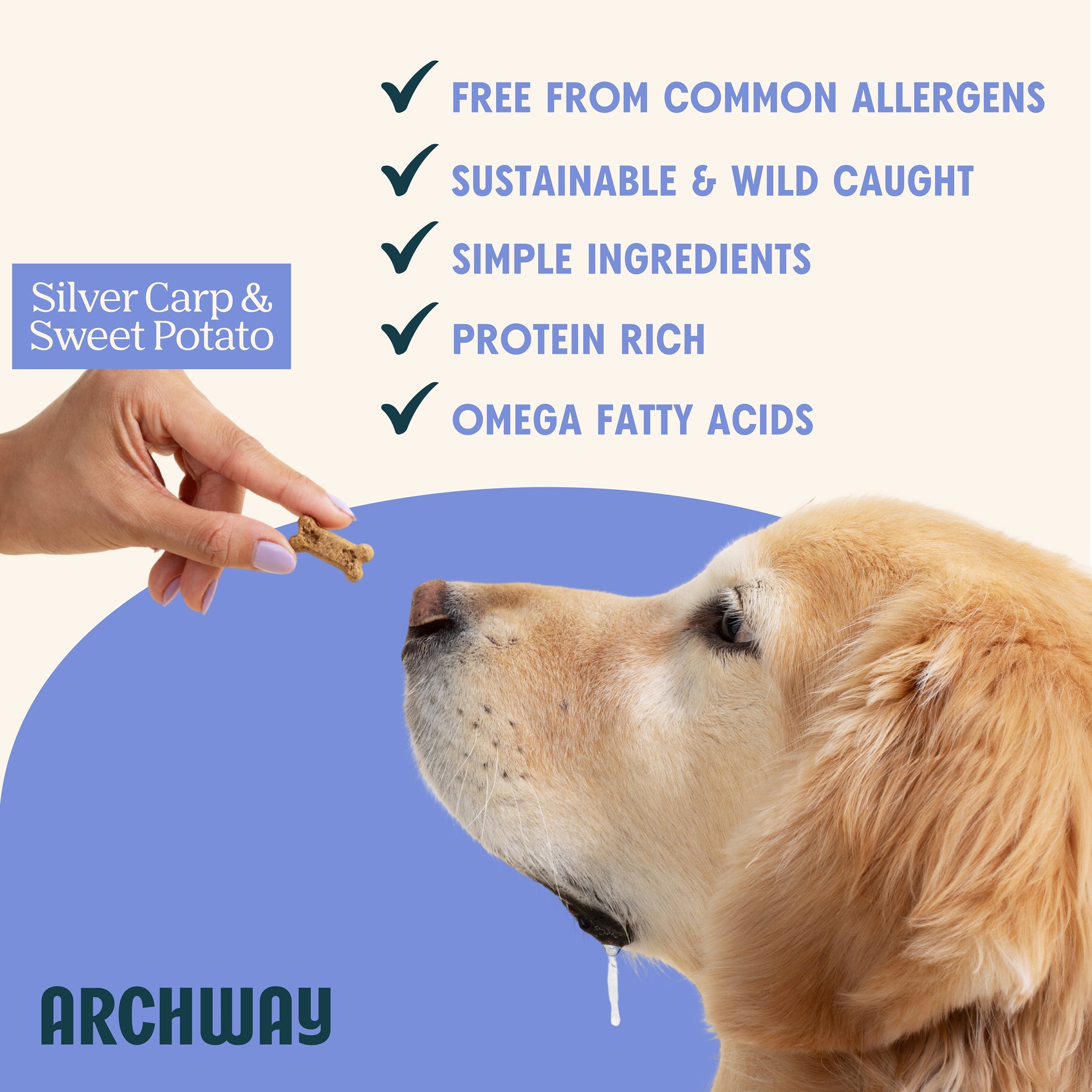 Archway Silver Carp & Sweet Potato Dog Treats | Whisker House - Whisker House