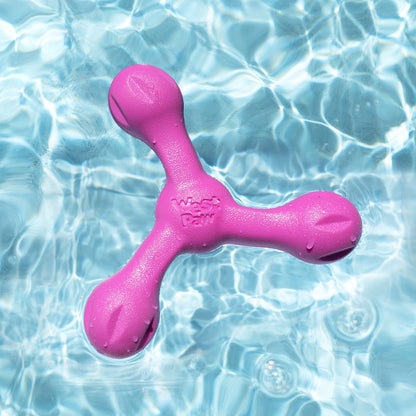 Pink dog toy floating in clear blue water