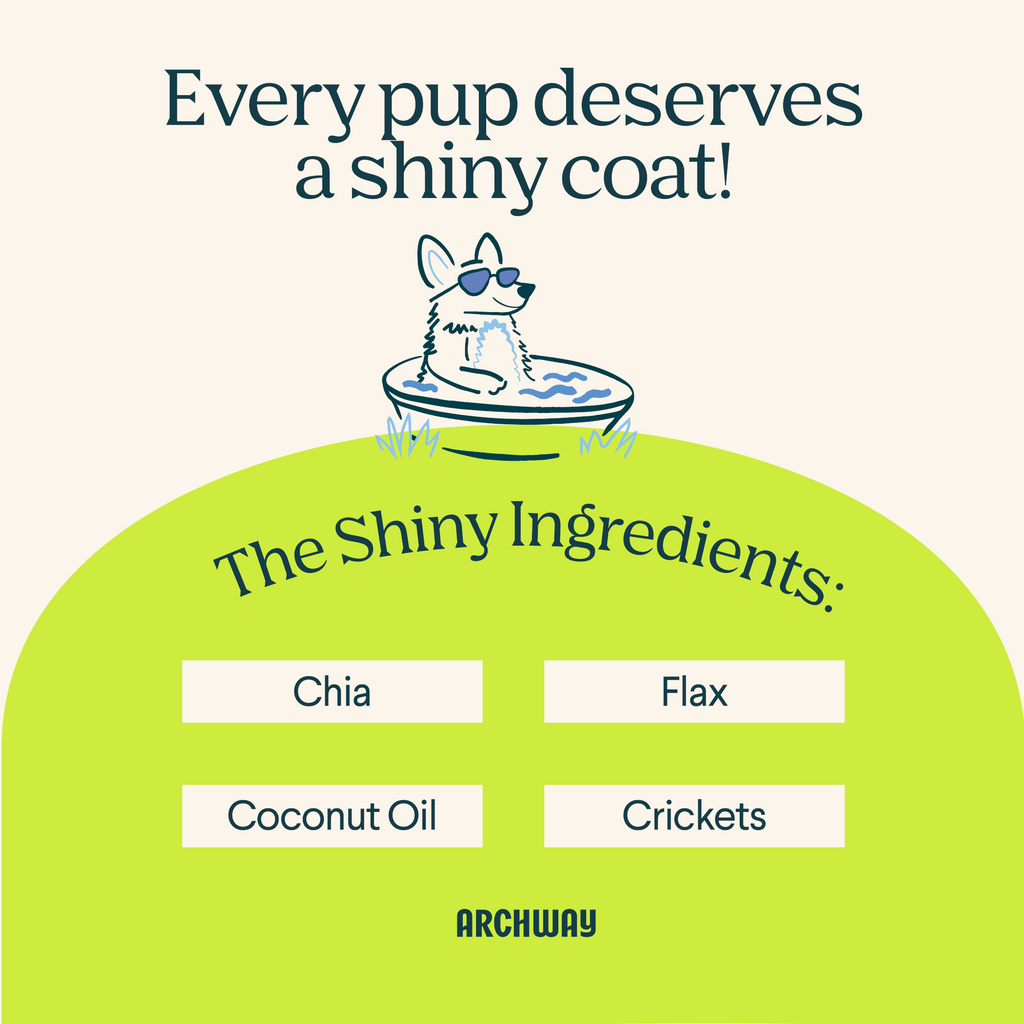 Product label for dog care with a cartoon dog, text, and listed ingredients on a light green background.