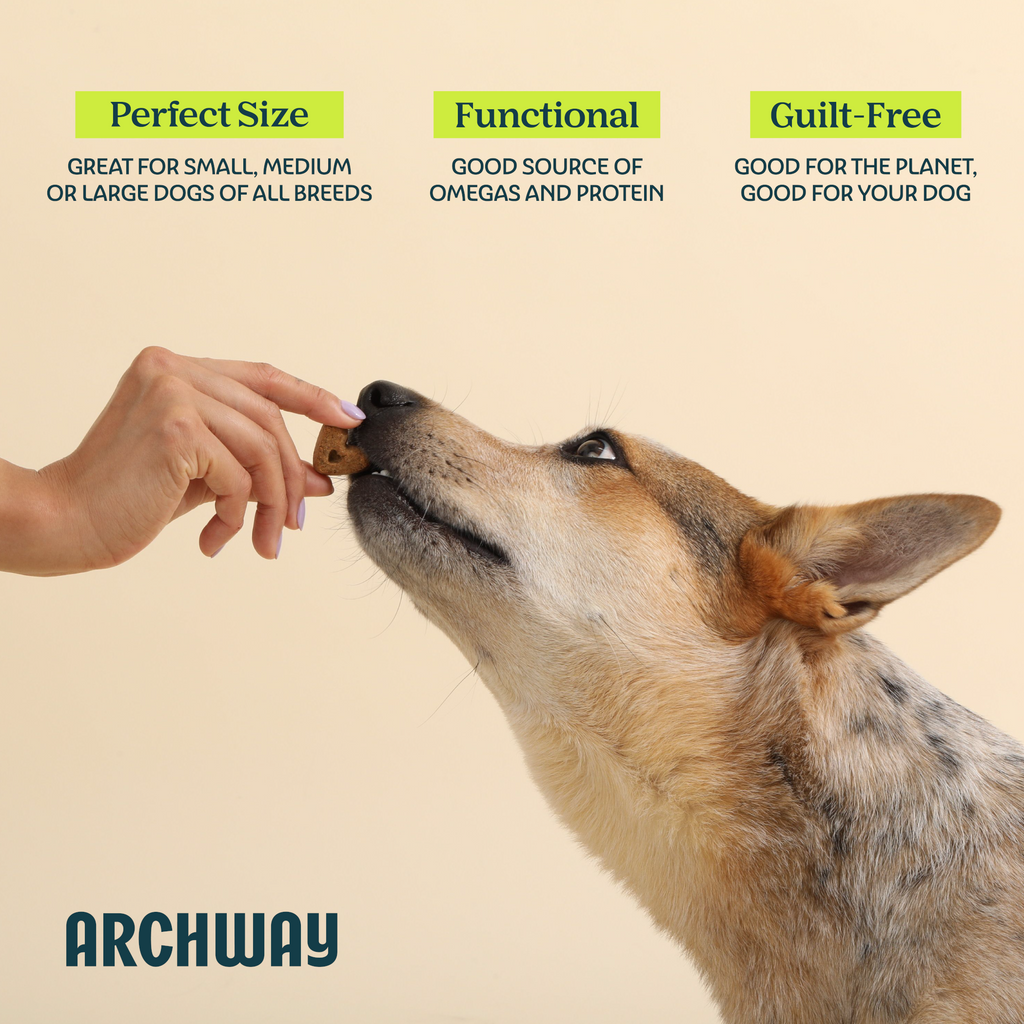 Dog being fed a treat with text about product attributes and Archway brand on a beige background