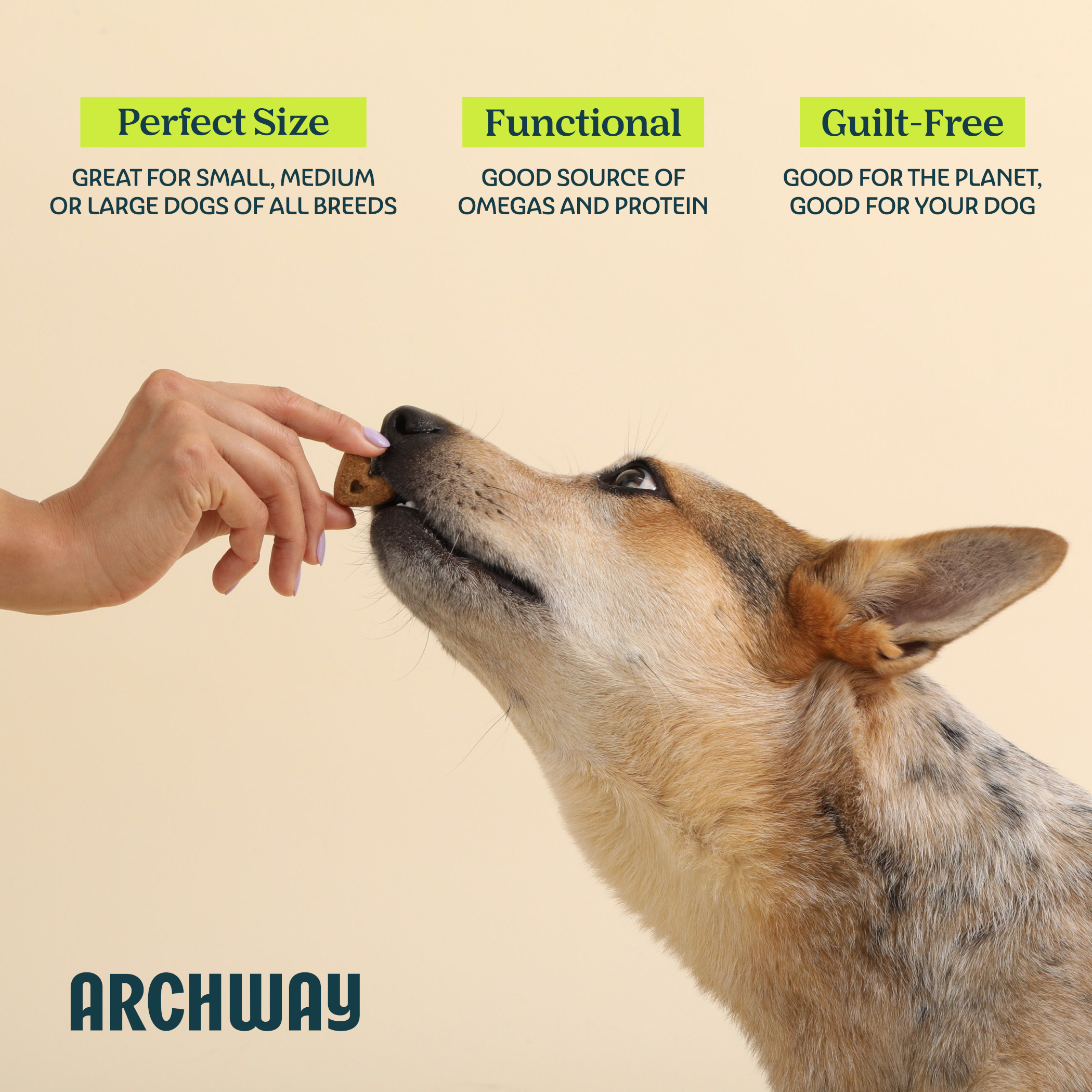 Dog being fed a treat with text about product attributes and Archway brand on a beige background