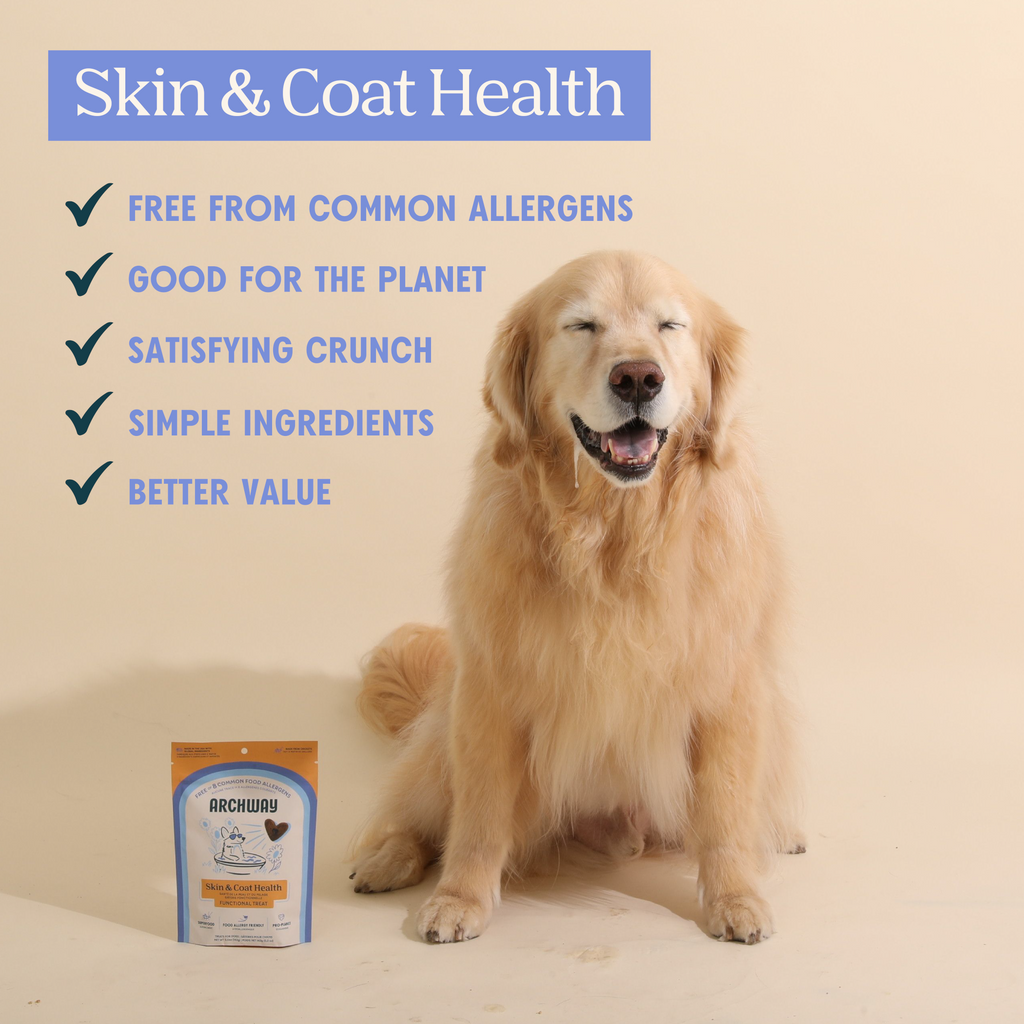 Dog sitting next to a bag of dog food with text about skin and coat health benefits on a beige background