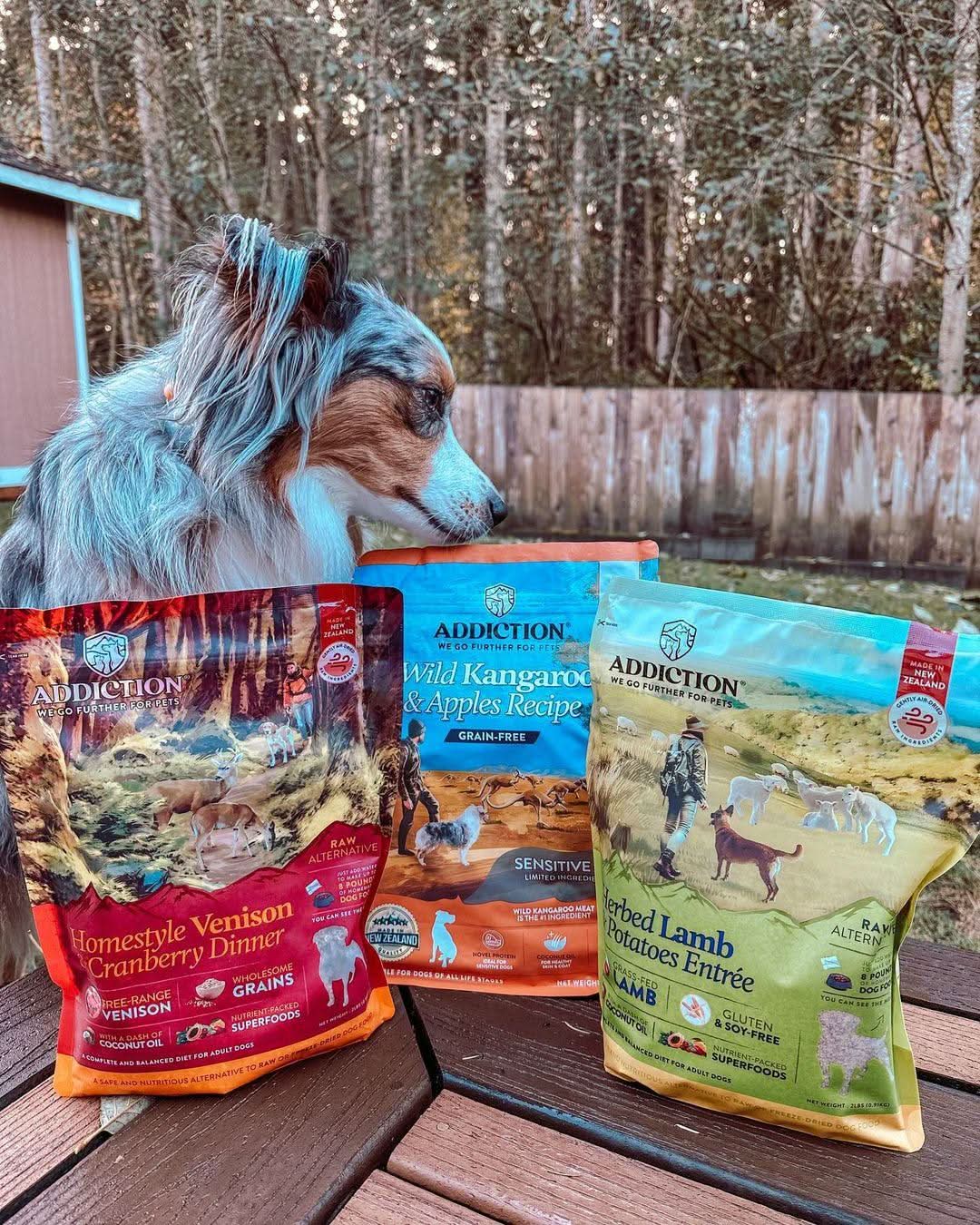 Herbed Lamb & Potatoes Air-Dried Dog Food package, product photo 11 of 15