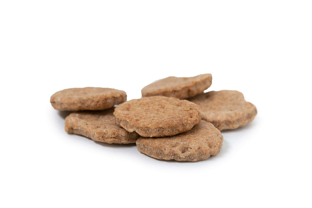 Dog treats on a white background