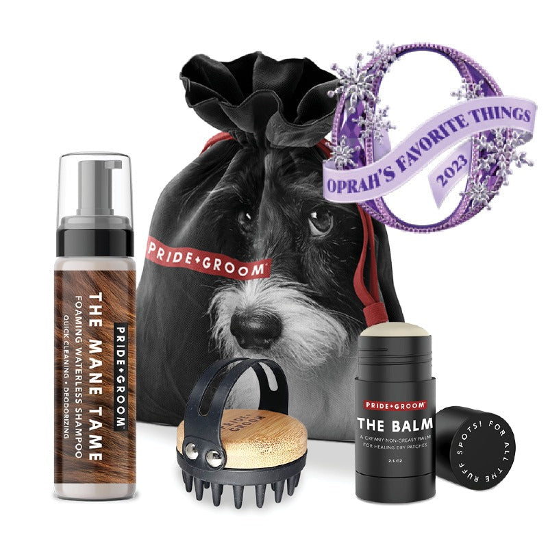 PRIDE+GROOM THE TOOL KIT complete dog grooming gift set