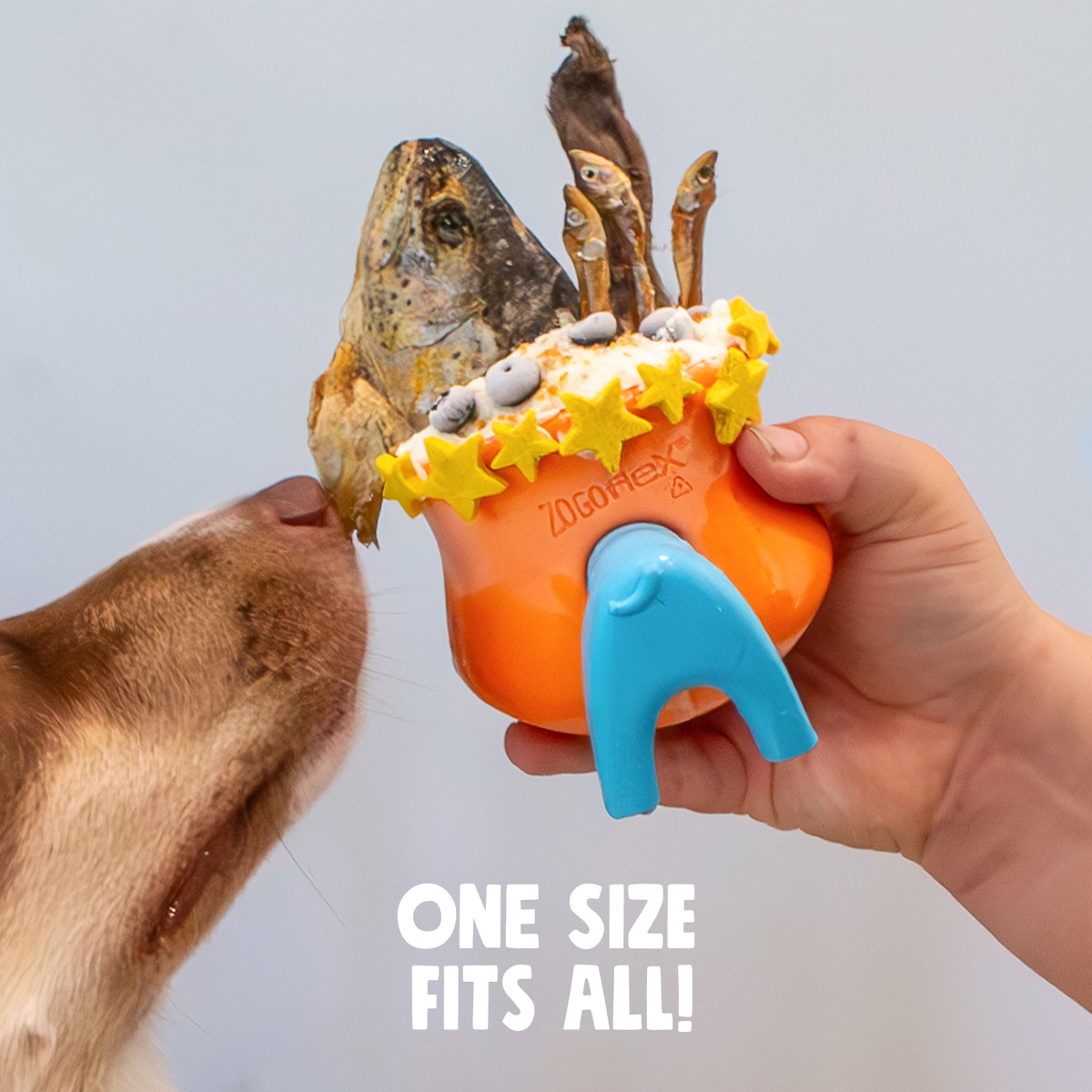 Dog playing with a toy shaped like a crab, held by a hand against a light gray background.