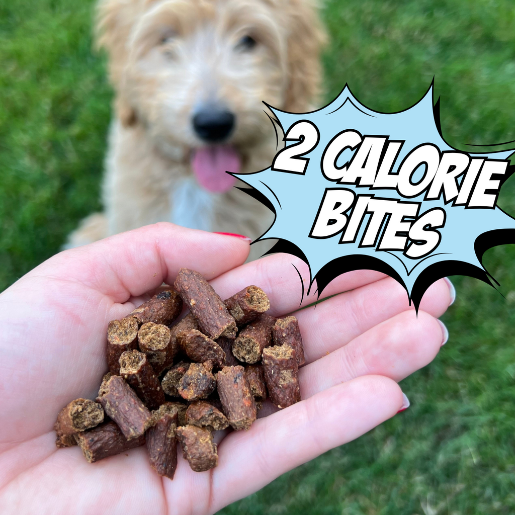 Hand holding small dog treats with a dog in the background and '2 Calorie Bites' text.
