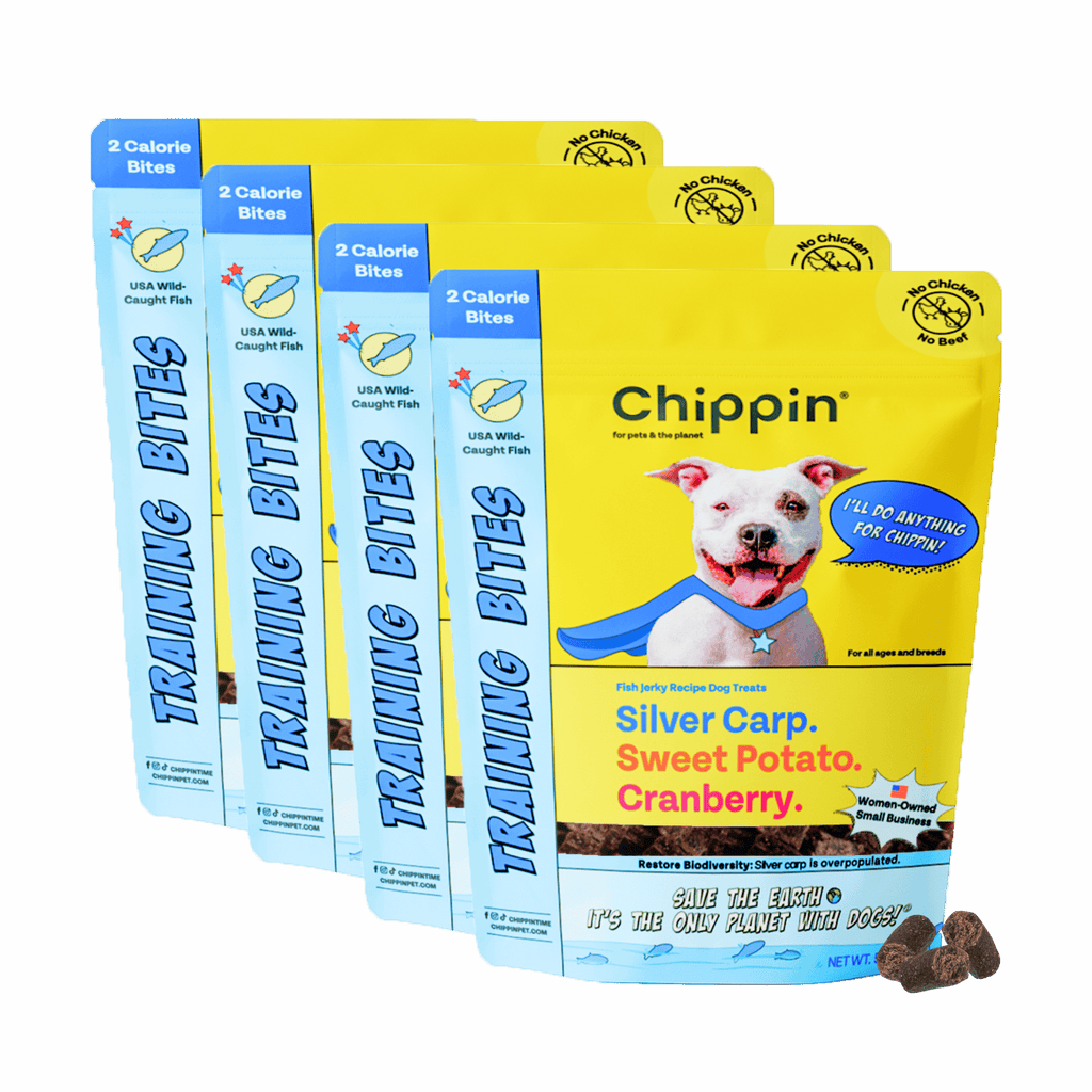 Chippin dog food packages on a gray background