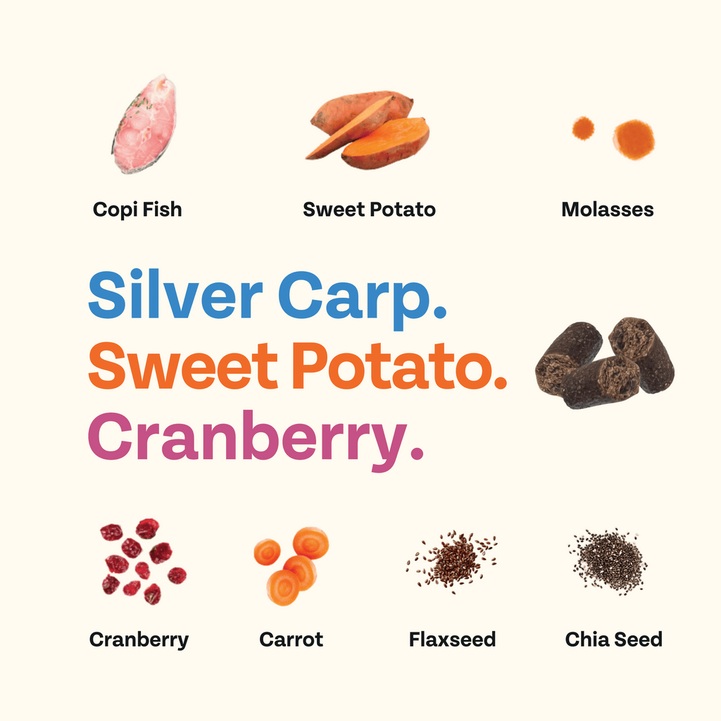 Illustrations of Copi Fish, Sweet Potato, Molasses, Silver Carp, Sweet Potato, Cranberry, Cranberry, Carrot, Flaxseed, and Chia Seed on a white background.