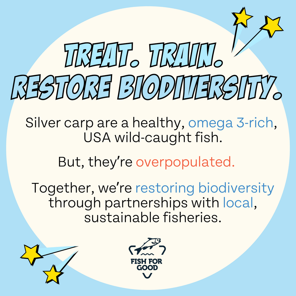 silver carp are healthy