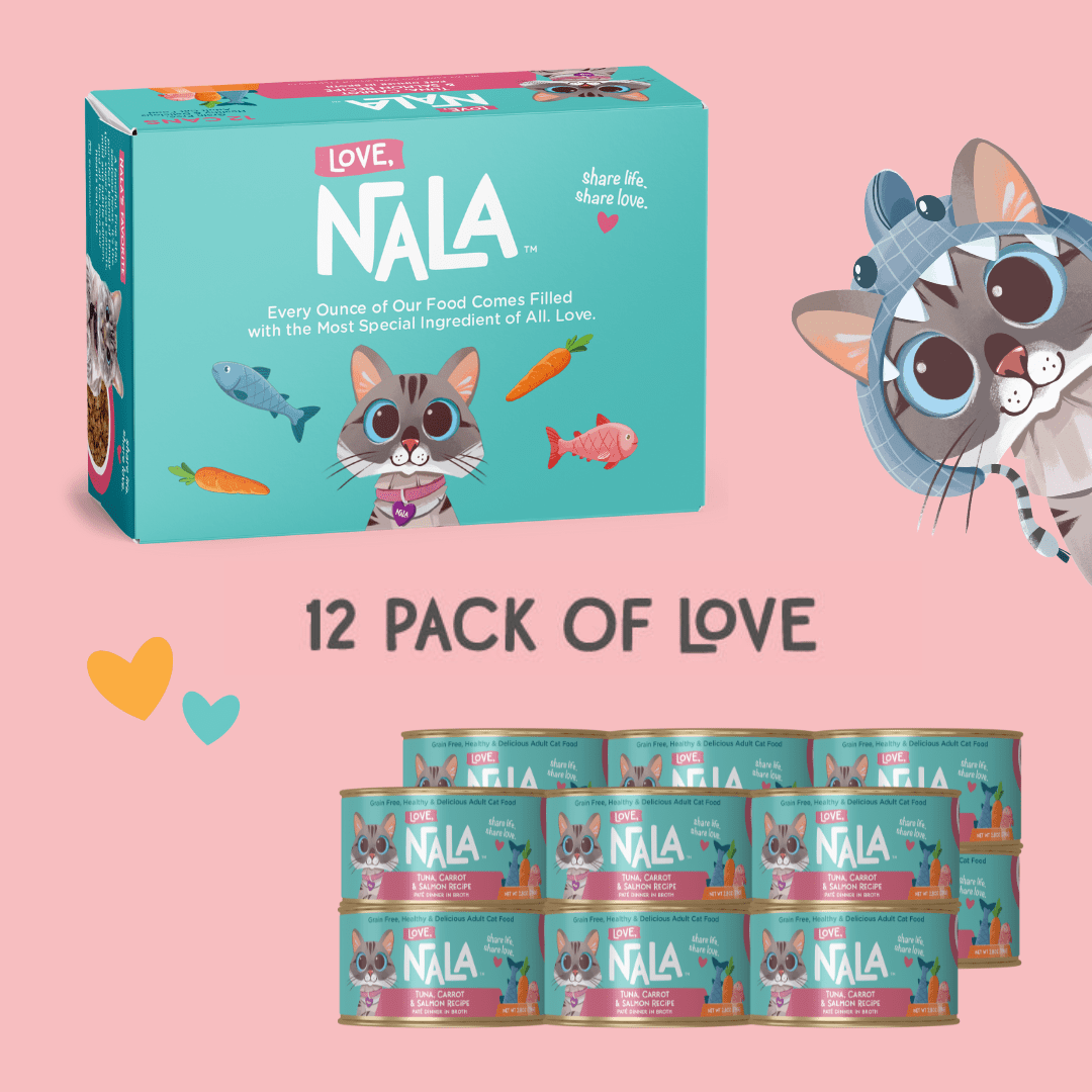 NALA cat food packaging with a cartoon cat character on a pink background
