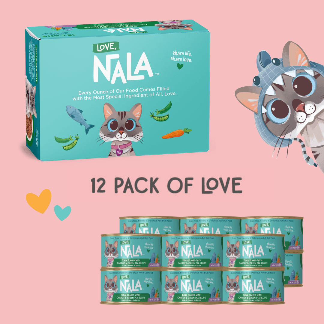 NALA cat food packaging with cartoon cat character on a pink background