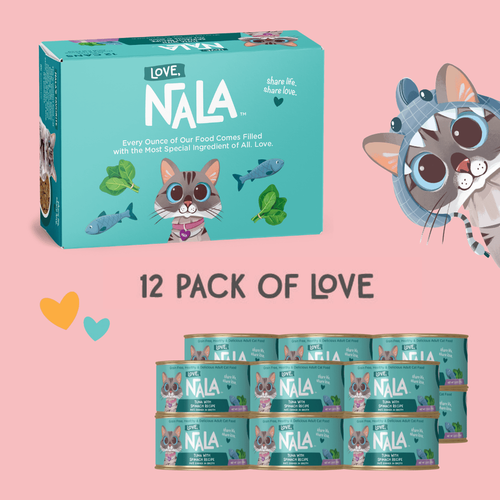 Nala cat food packaging with a pink background and cartoon cat illustration.