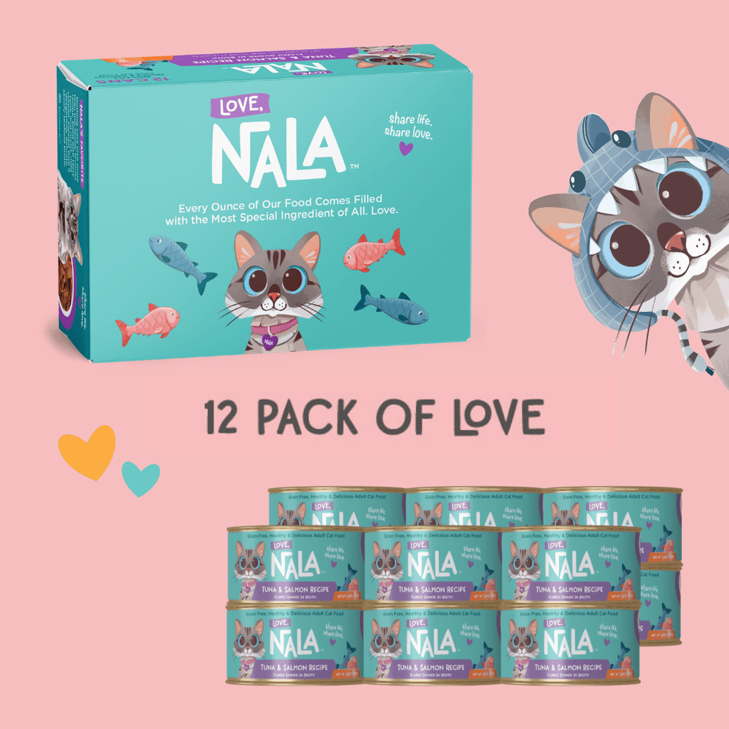 NALA cat food packaging with a cartoon cat character on a pink background
