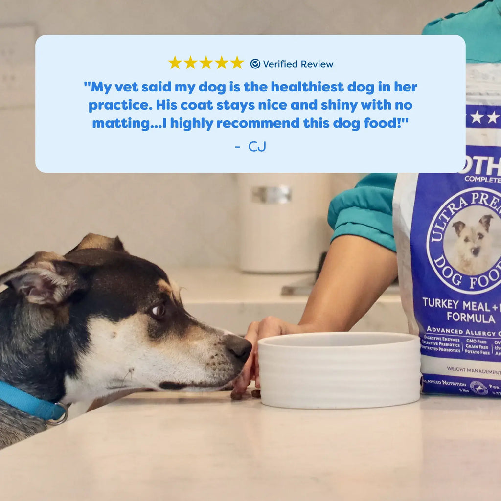 Dog eating from a bowl with a bag of dog food and a five-star review in the background
