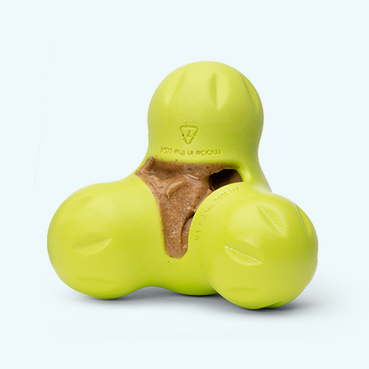 Green dog toy with a brown center on a white background