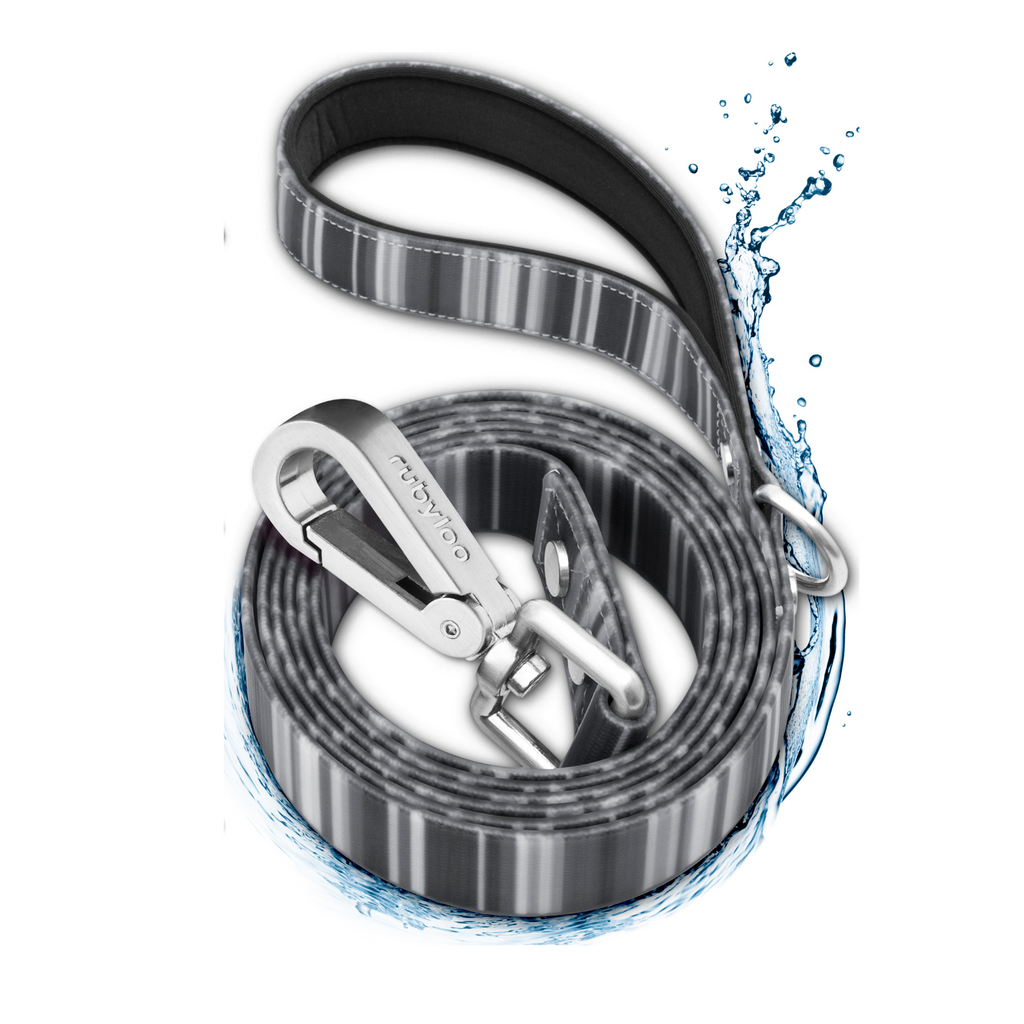 Dog leash with a silver clip on a white background