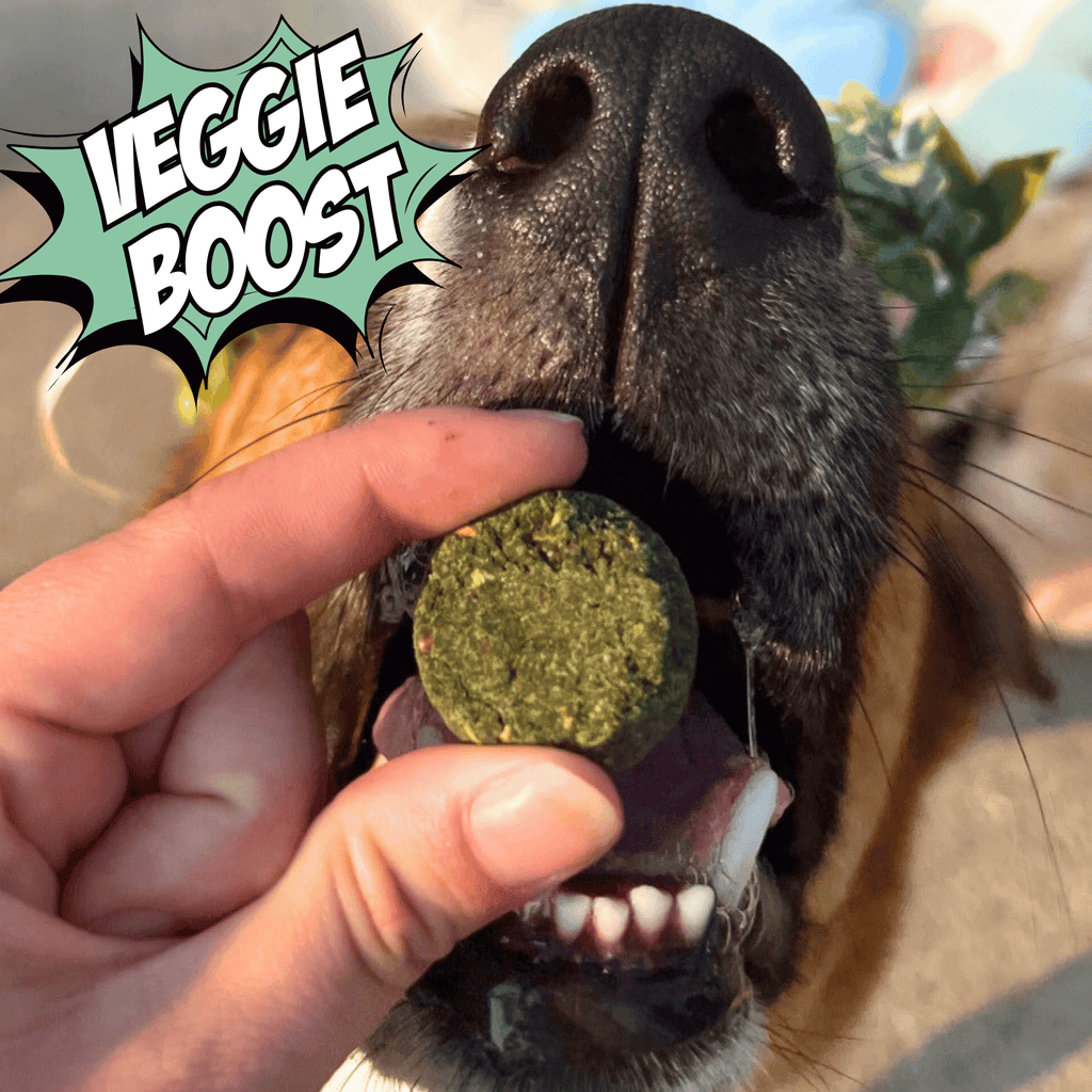 Dog with a treat in its mouth, held by a hand, with 'Veggie Boost' text overlay.