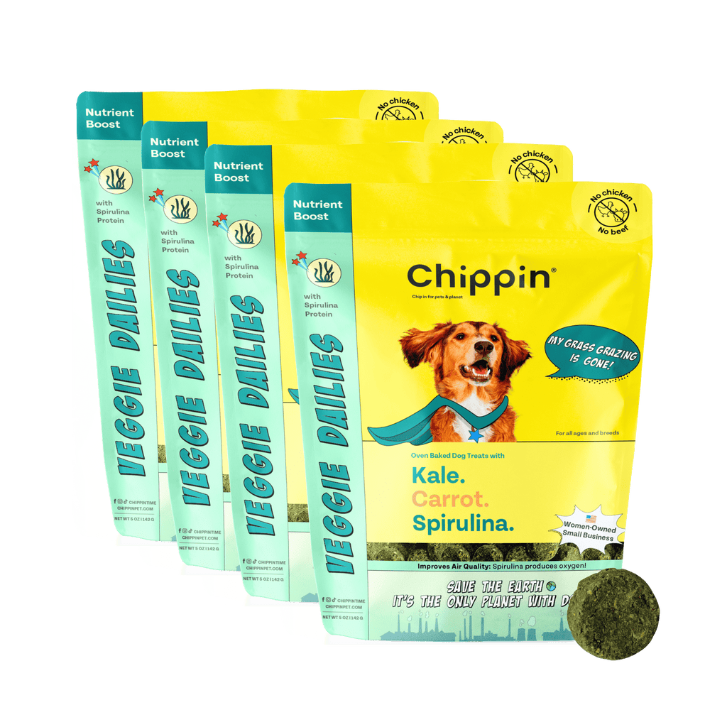 Chippin dog treat packages with a green background
