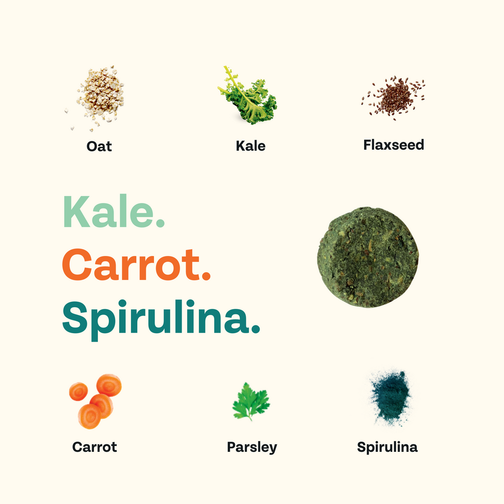 Illustrations of various health foods including oat, kale, flaxseed, carrot, spirulina, parsley on a white background.