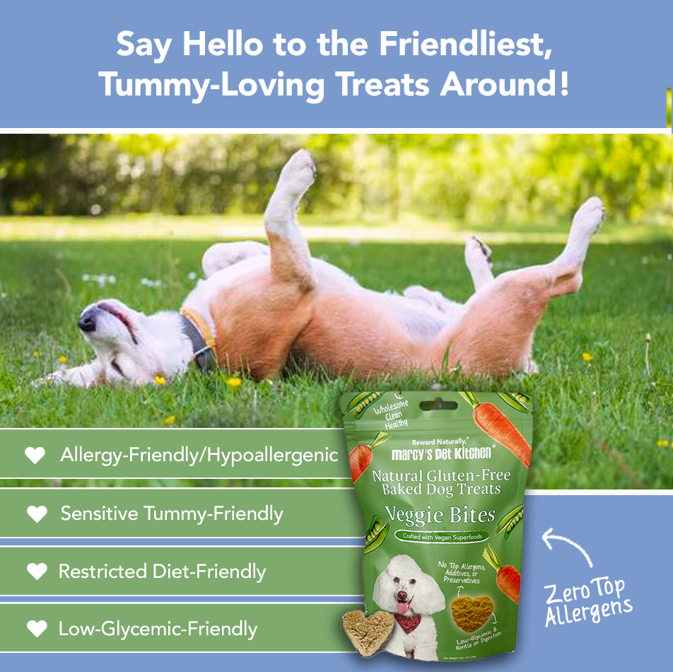 Dog lying on grass with a package of dog treats labeled 'Veggie Bites' in the foreground.