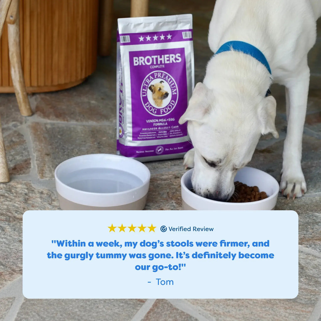 Dog eating from a bowl with Brothers Pet Food packaging in the background