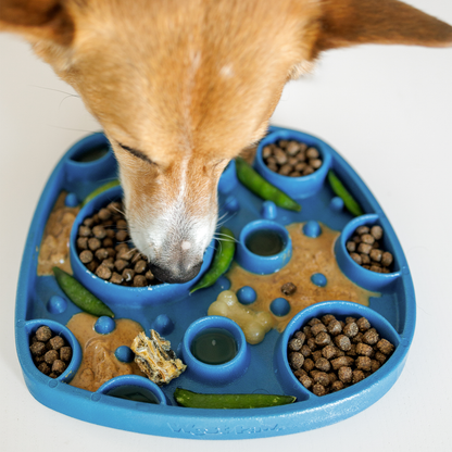 Dog interacting with a blue puzzle feeder filled with treats and toys on a white background