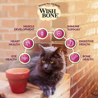 Cat sitting on a brick wall with Wish Bone pet food product benefits displayed.