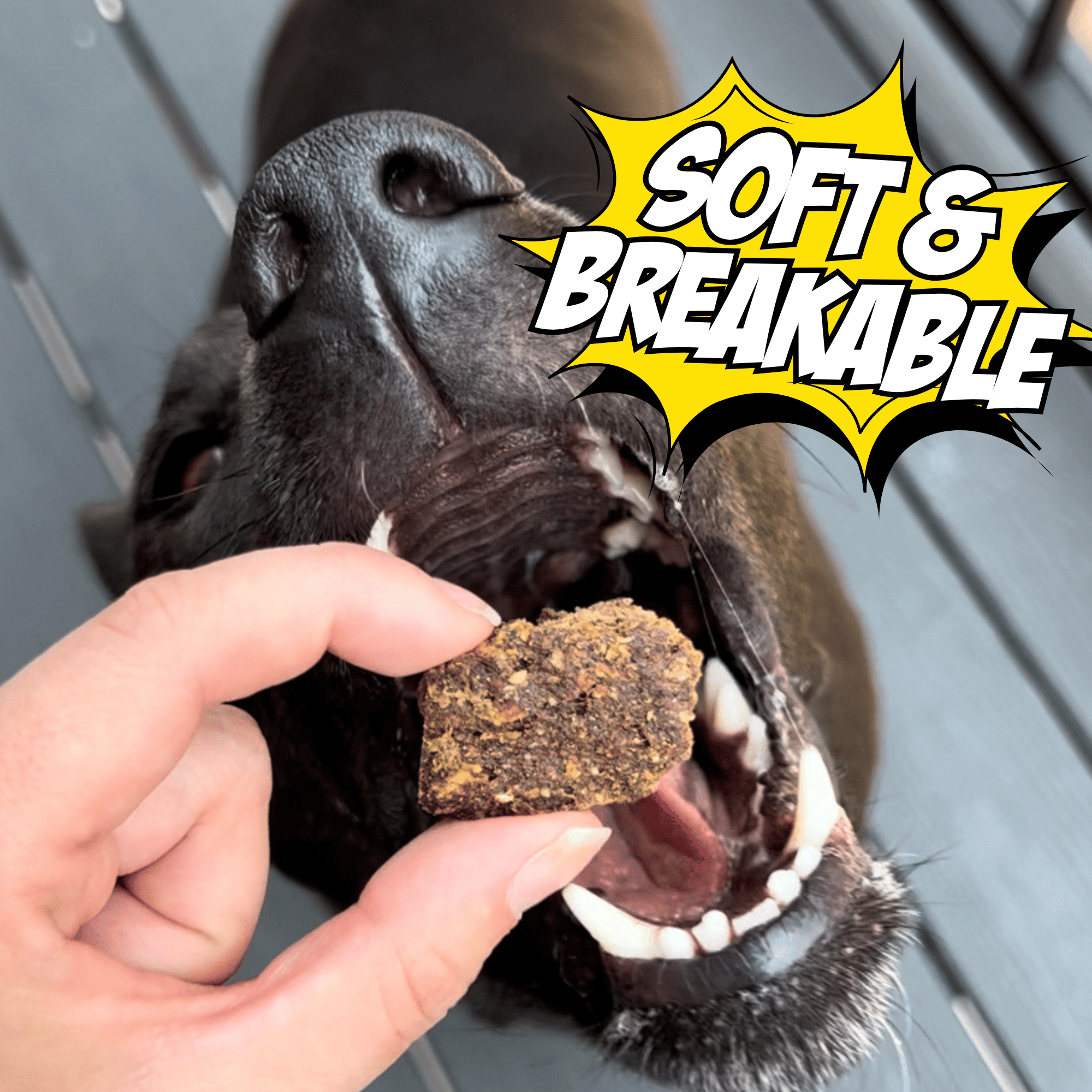 Dog taking a treat from a hand with 'Soft & Breakable' text overlay