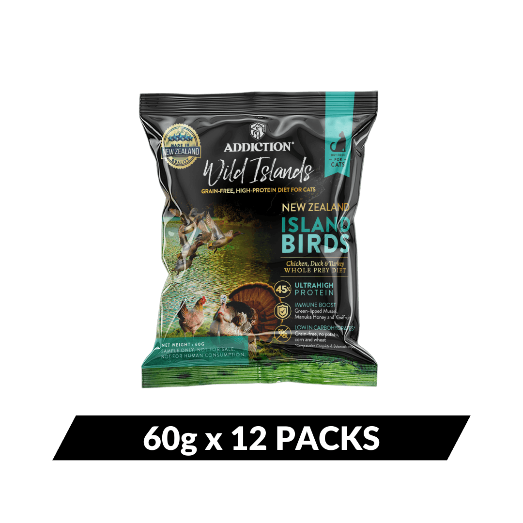 Package of Addiction Wild Islands New Zealand Island Birds cat food on a teal background