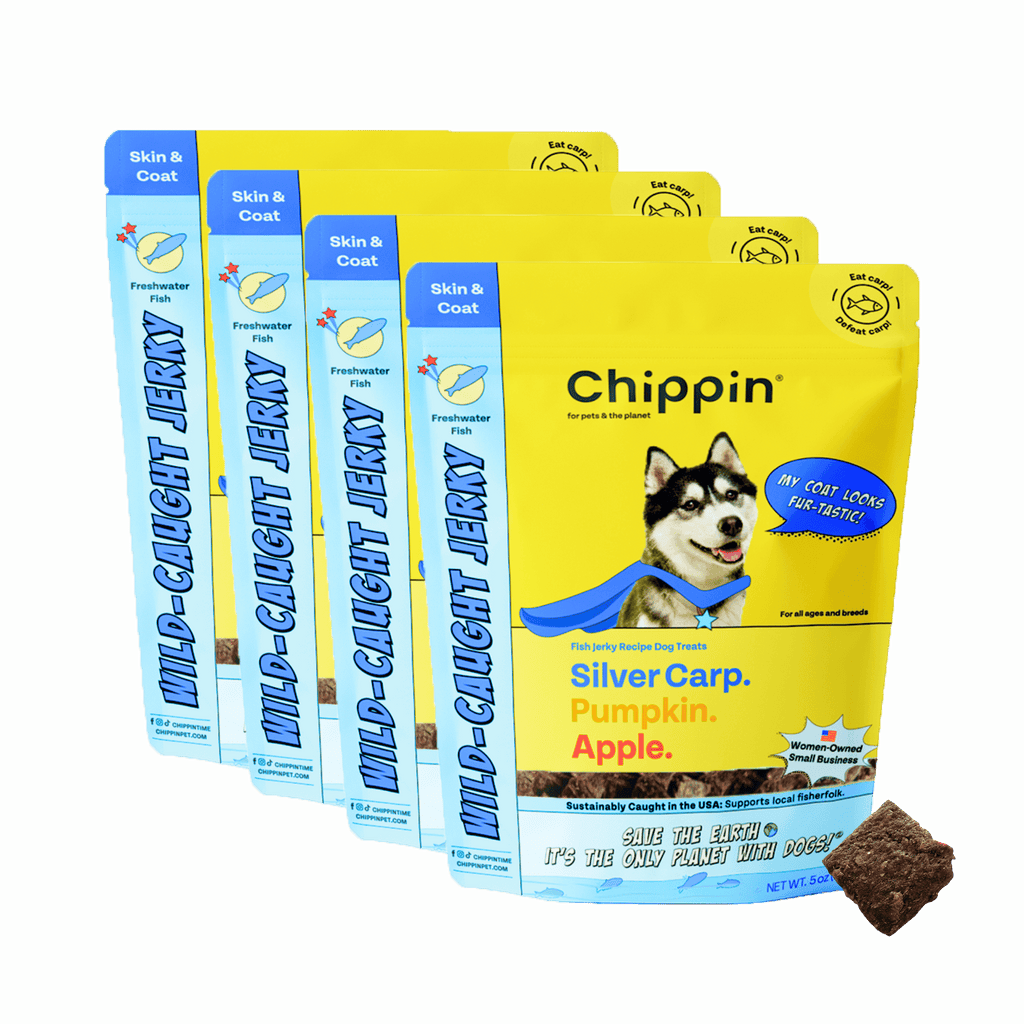 Chippin dog treats packaging with a green background