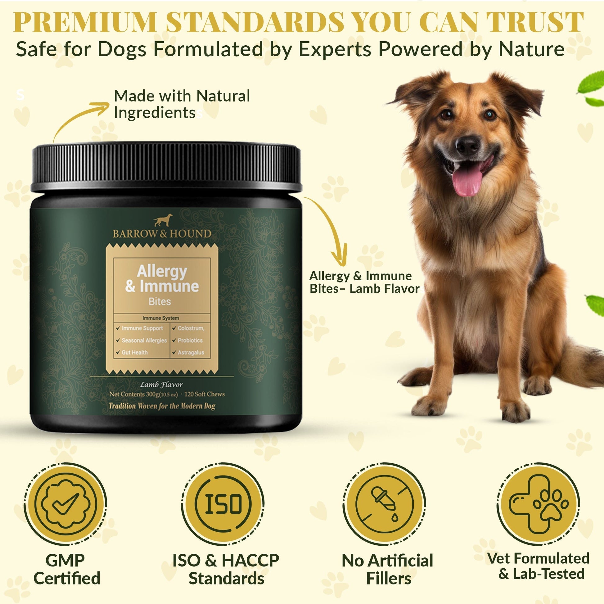 Dog supplement jar with a dog and certification icons on a light background