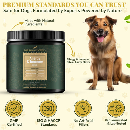 Dog supplement jar with a dog and certification icons on a light background