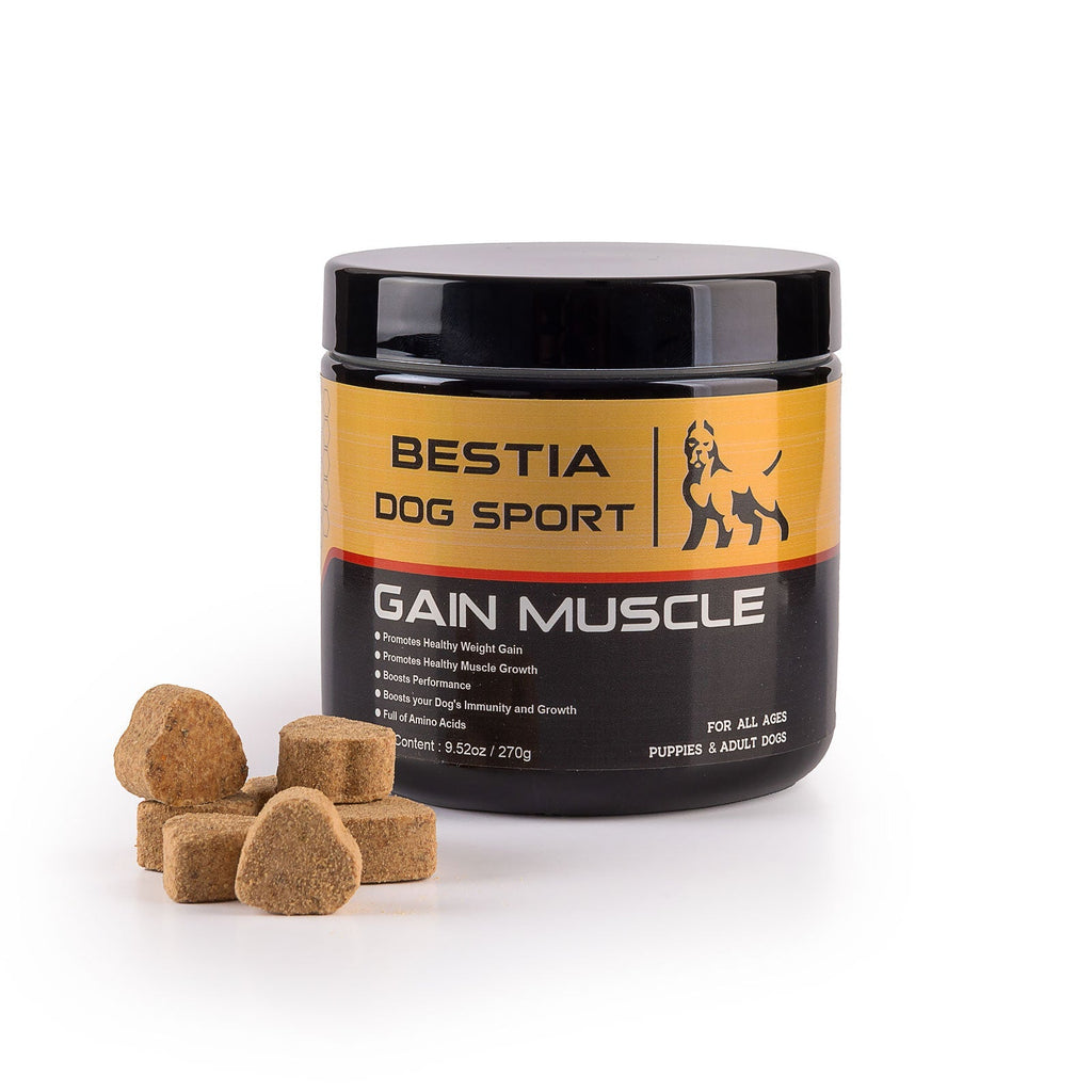 Container of Bestia Dog Sport Gain Muscle supplement with dog treats on a white background