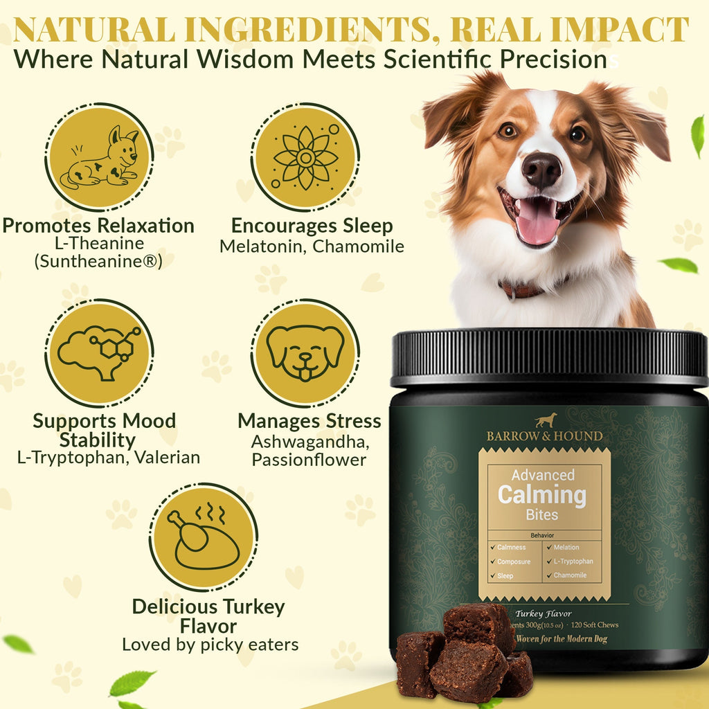 Dog supplement product with ingredients listed and a smiling dog on a light background.