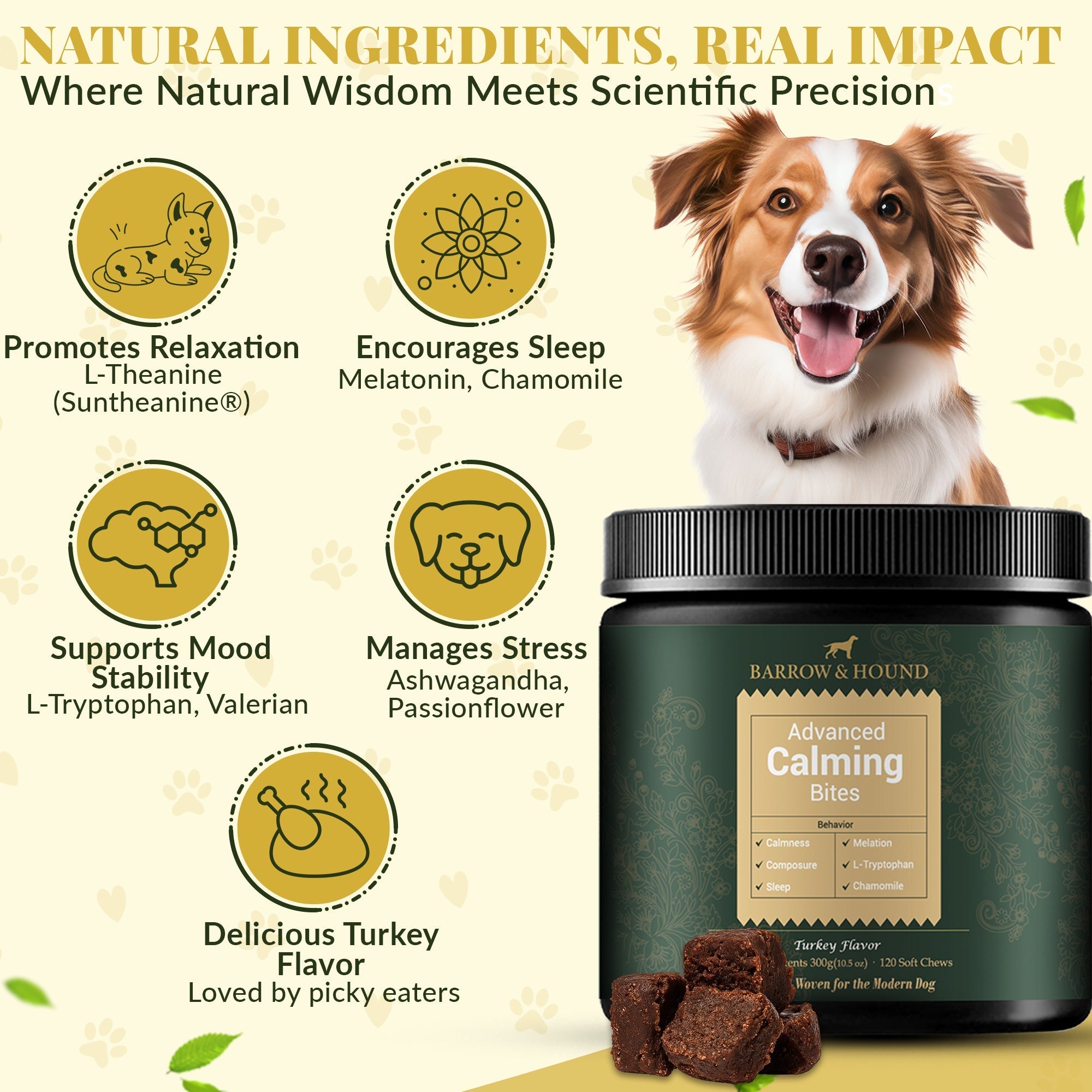 Dog supplement product with ingredients listed and a smiling dog on a light background.