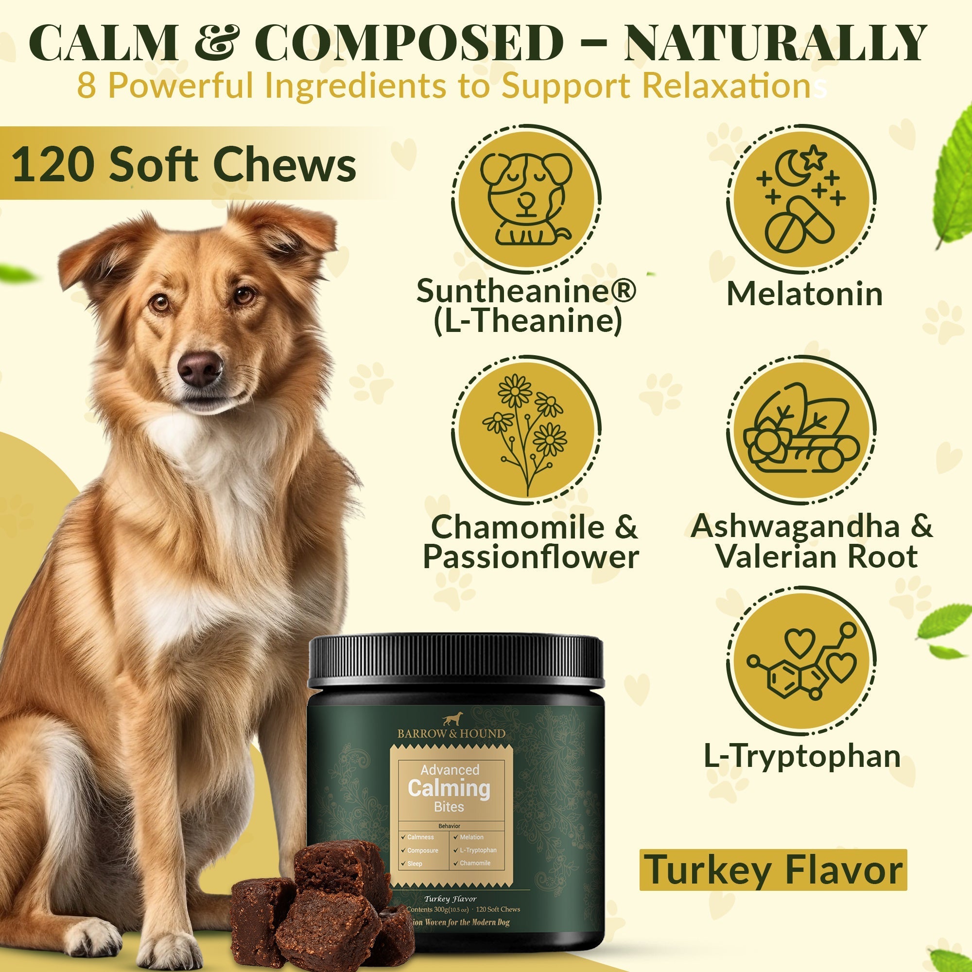 Dog supplement product with ingredients listed and a dog sitting next to it.