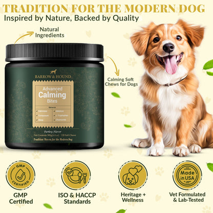 Dog supplement product with a happy dog and certification icons on a light background