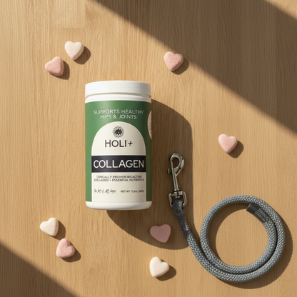 HOLI+ Collagen supplement bottle on a wooden surface with heart-shaped objects and a dog leash.