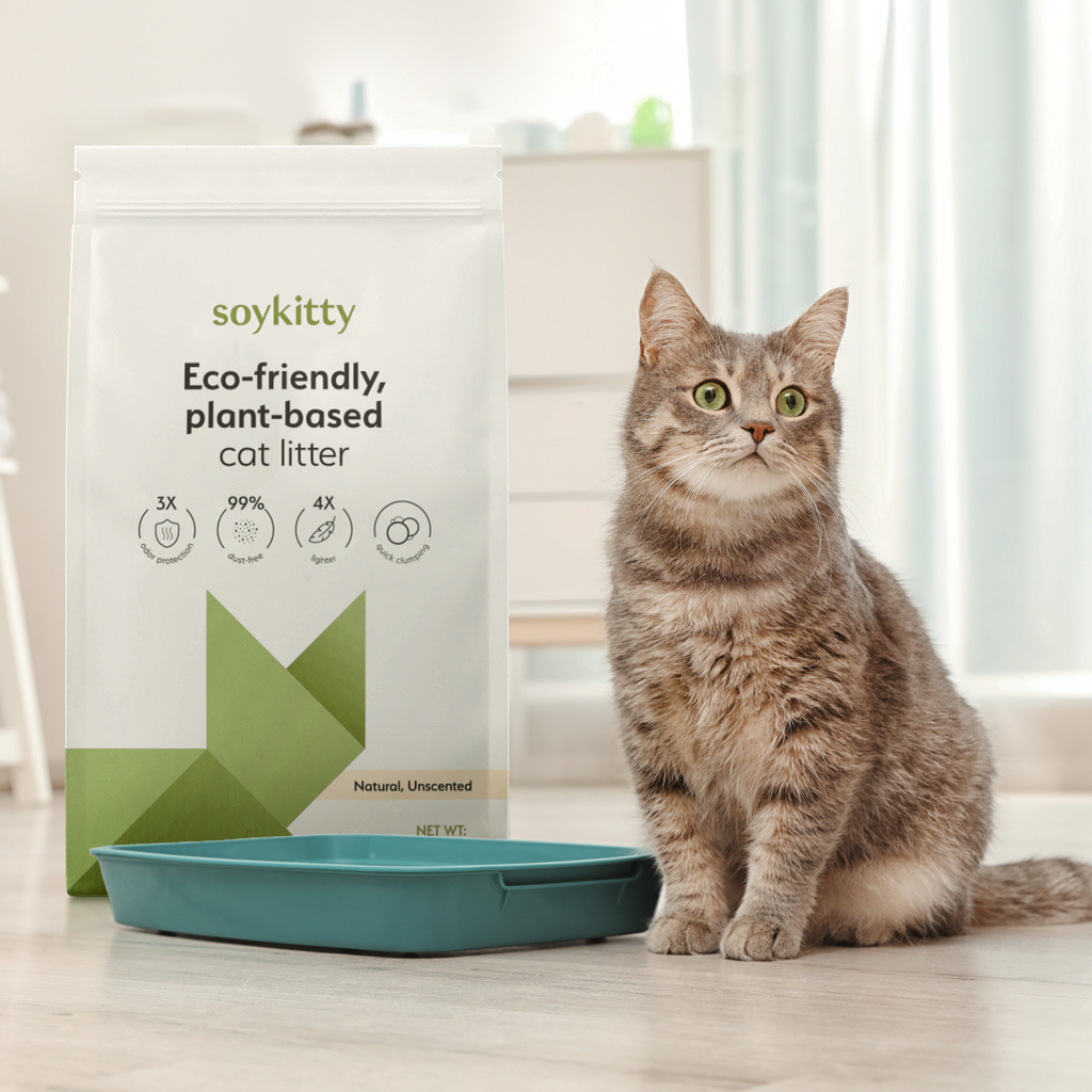 Cat sitting next to a bag of soykitty eco-friendly plant-based cat litter.