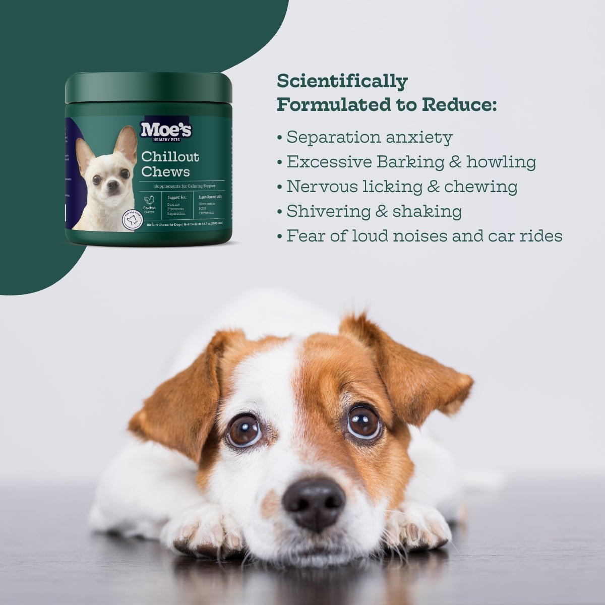 Chillout Chews (60 chews per product) - Whisker House