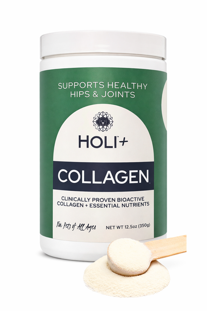 HOLI+ Collagen supplement container with a scoop of powder on a white background