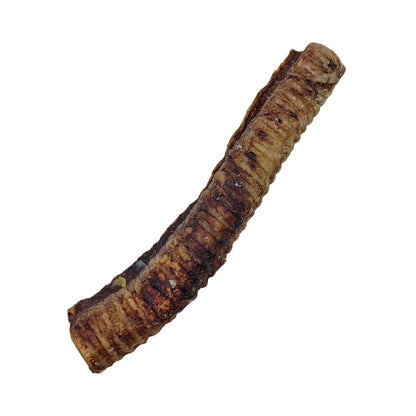 Close view of the open end of a hollow 12 inch beef trachea dog chew