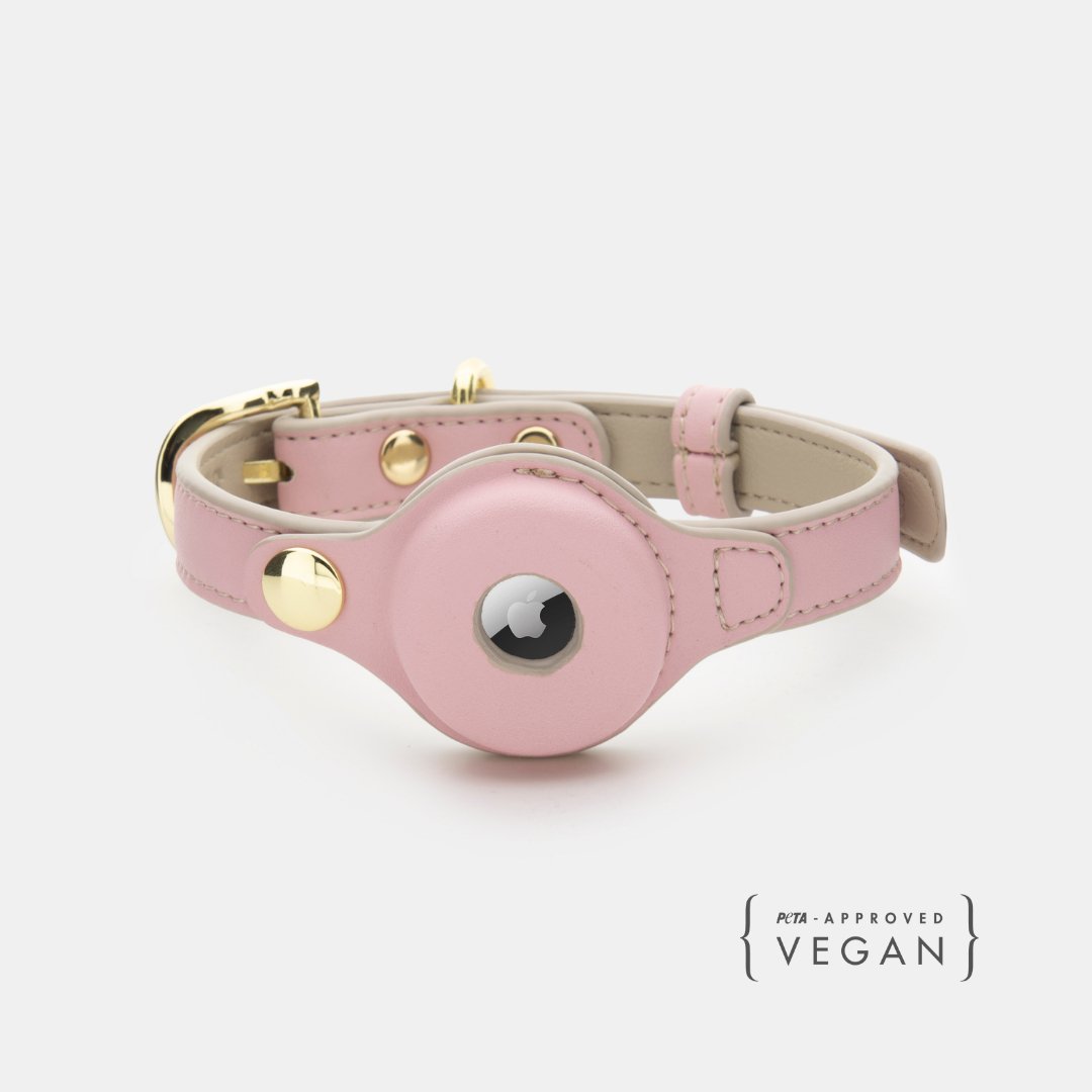 Pink leather dog collar with gold accents on a white background