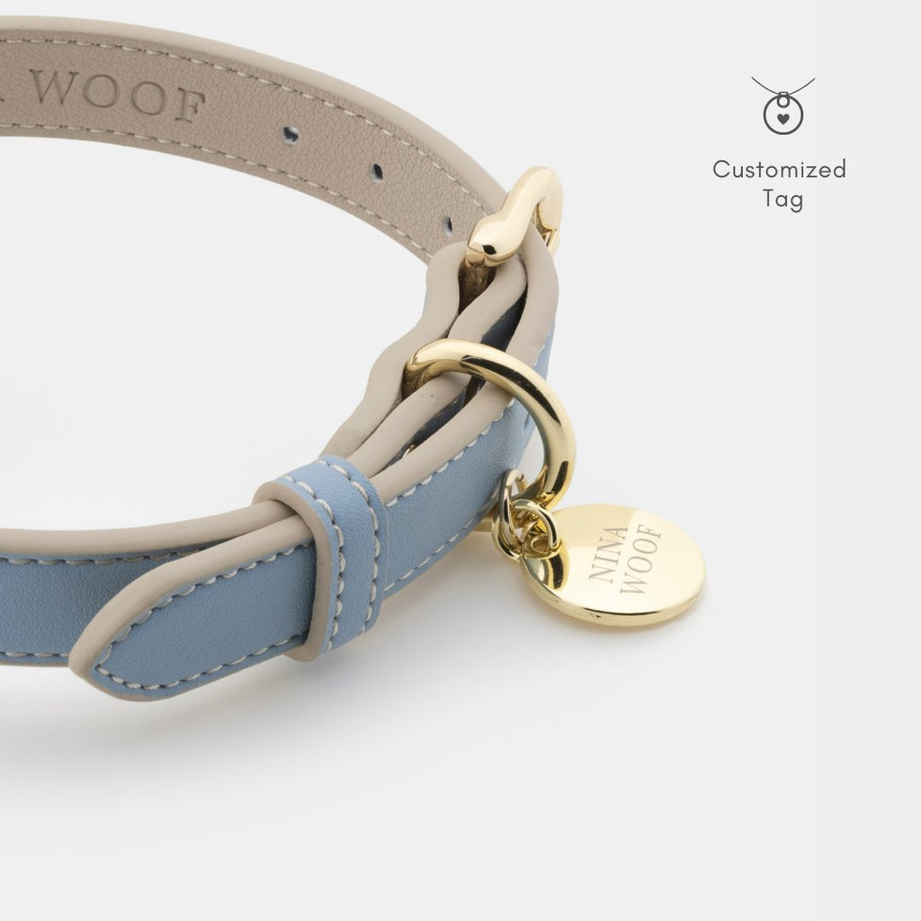 Dog collar with a gold tag on a white background