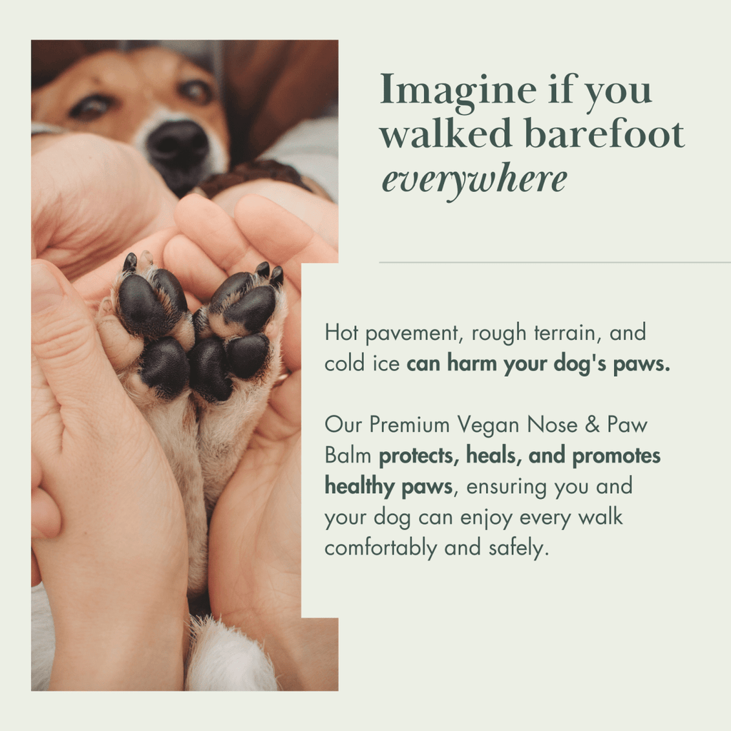 Close-up of a dog's paw held in human hands with promotional text about a vegan nose and paw balm.