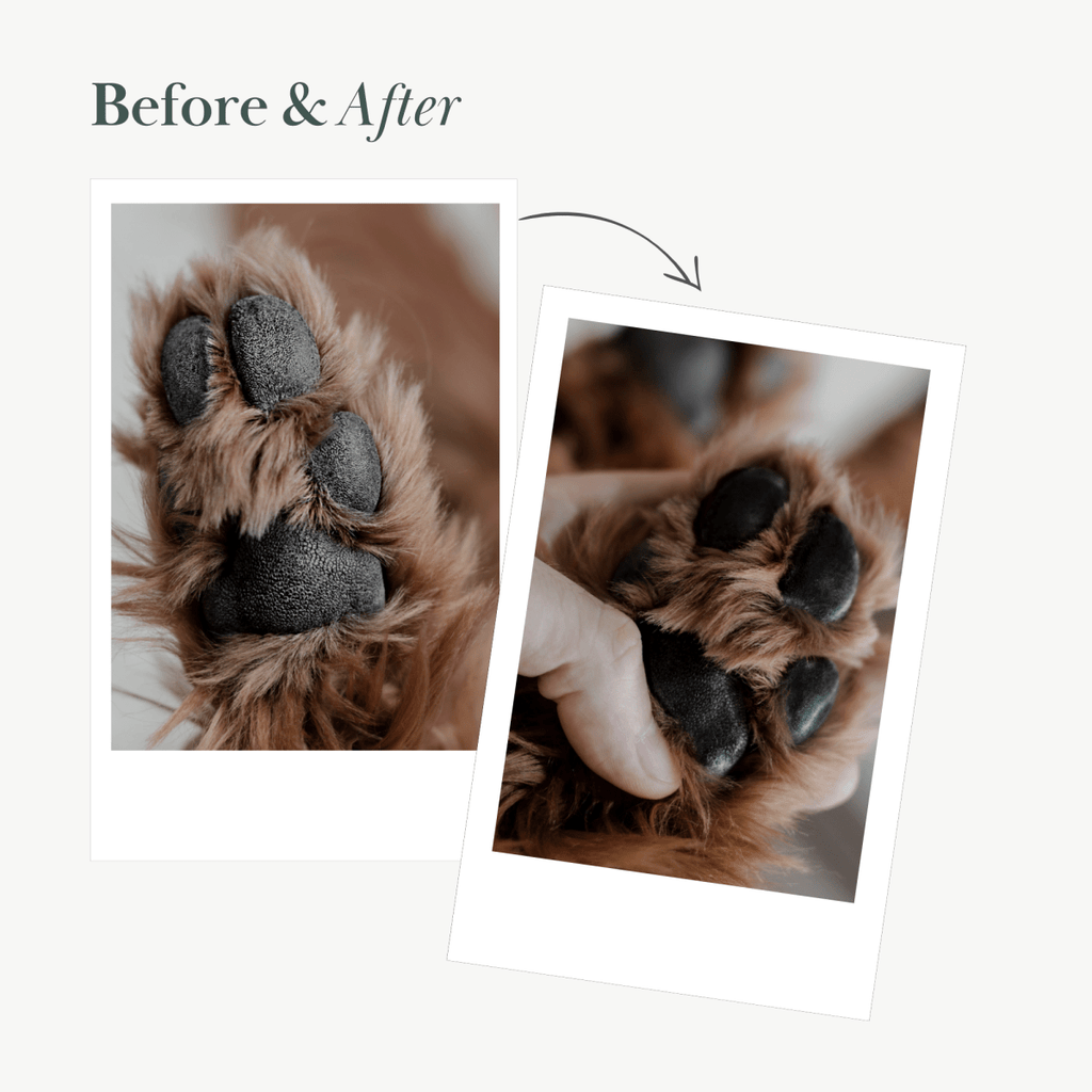 Before and after comparison of a dog's paw with and without grooming.
