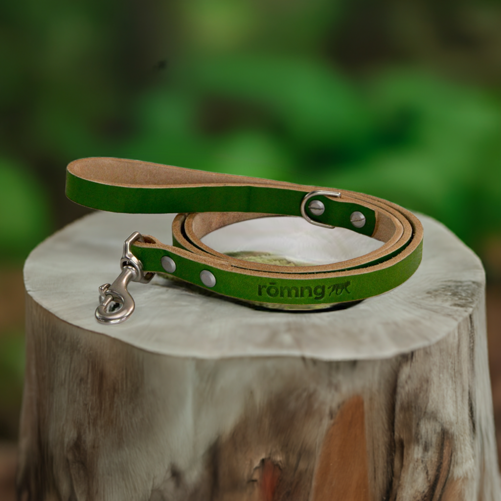 Green leather dog leash with metal clip on a wooden stump against a blurred green background