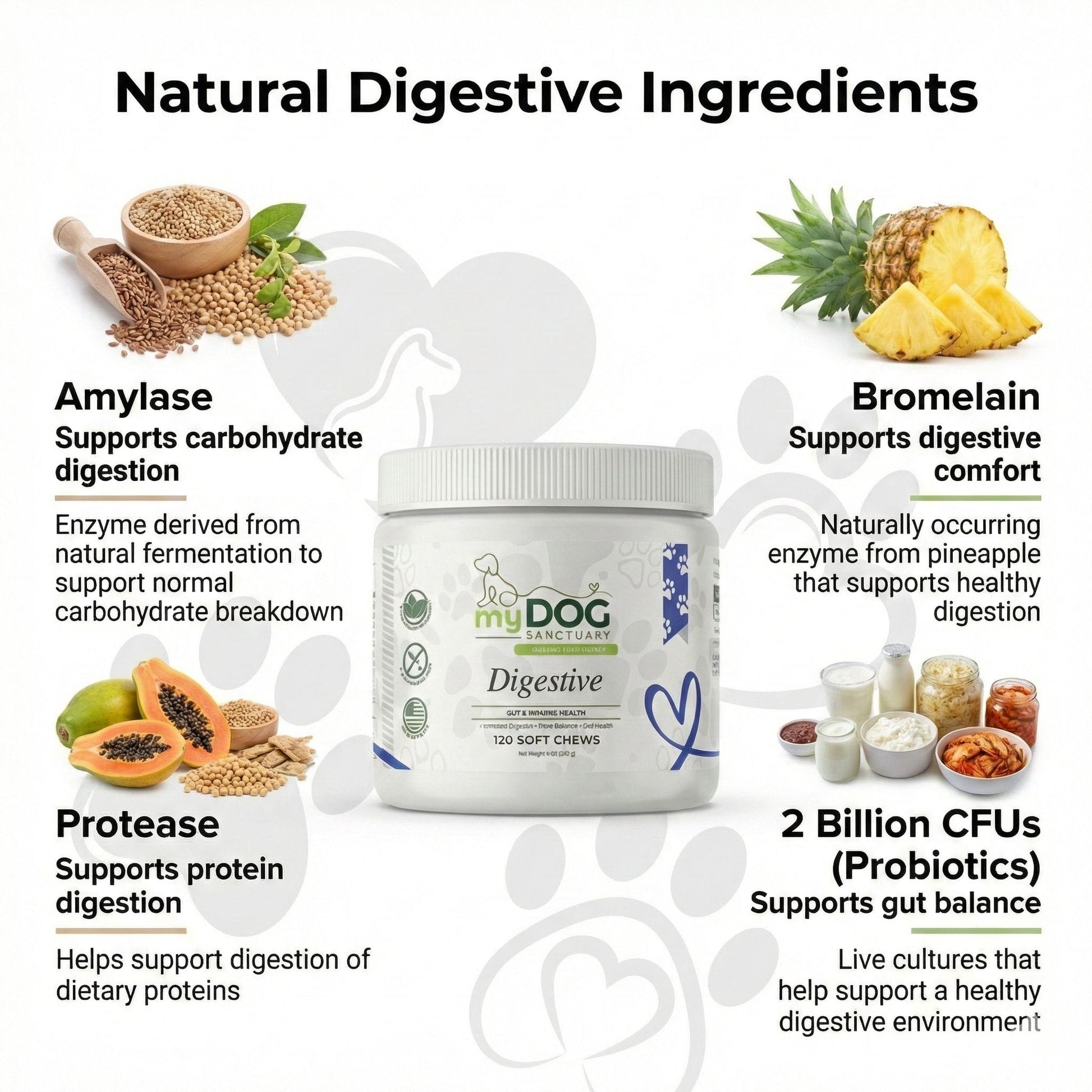 Product packaging with digestive ingredients and benefits on a white background