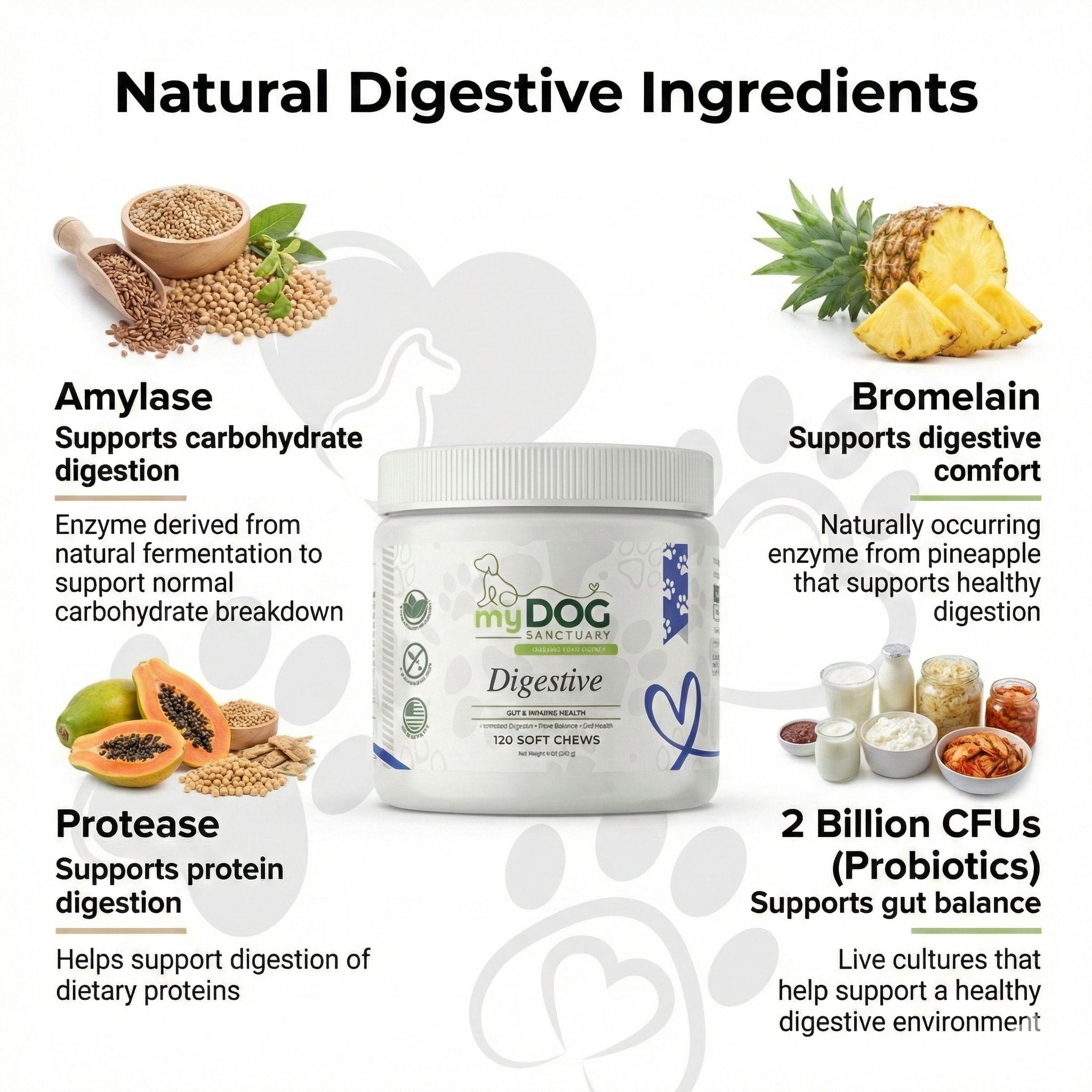 Product packaging with digestive ingredients and benefits on a white background